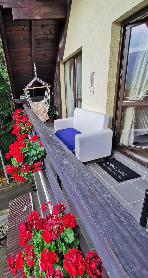 Apartament Kalinderu K1 Buşteni Екстериор снимка