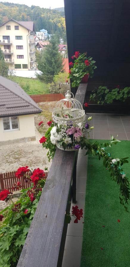 Apartament Kalinderu K1 Buşteni Екстериор снимка